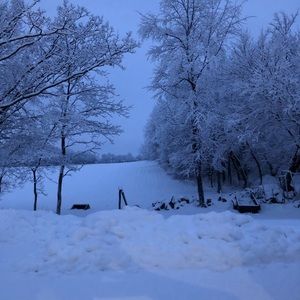 Meet your Posher, Shelly